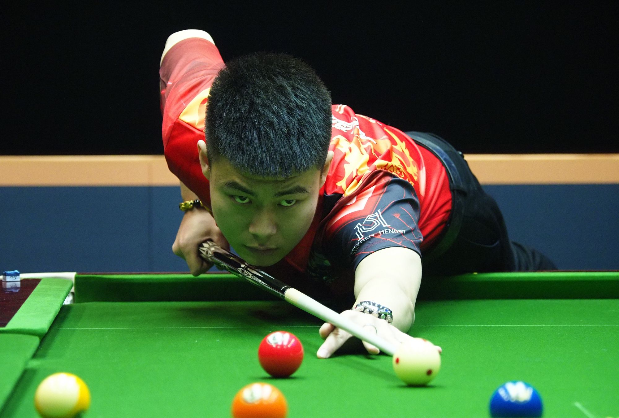 抗性和观赏 抗性和观赏