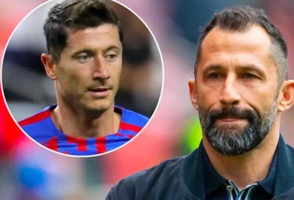 牛停顿回合 牛停顿回合